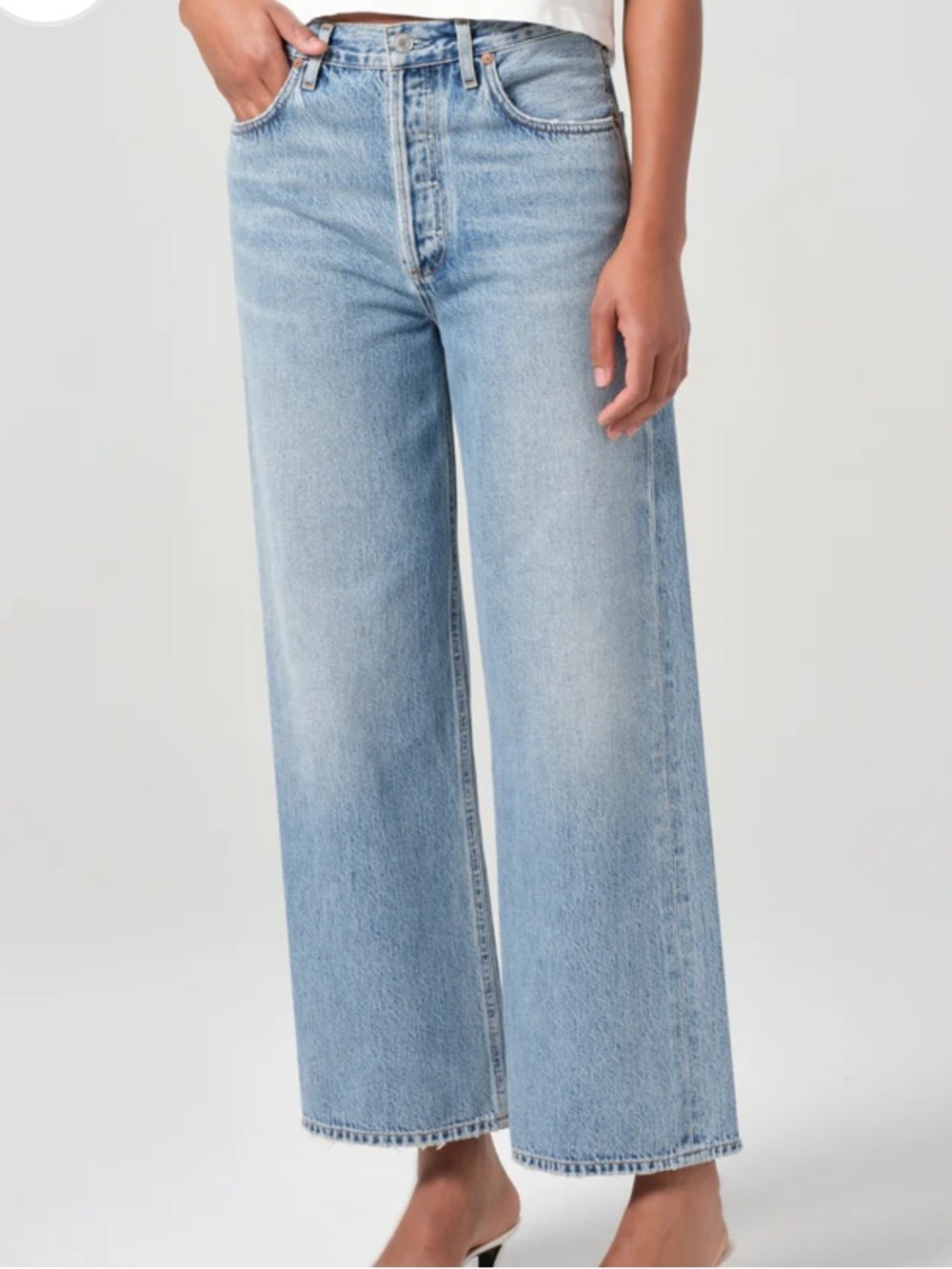 Agolde Ren Wide-Leg Jeans